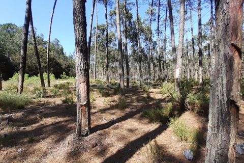 Terra em Maxial e Monte Redondo, Lisbon, Maxial e Monte Redondo - € 9.900 | Ref: ZMPT551124 - foto 1