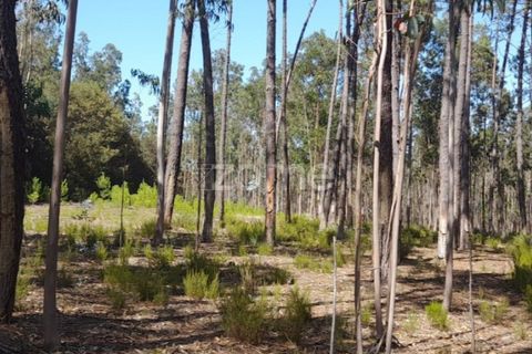 Terra em Maxial e Monte Redondo, Lisbon, Maxial e Monte Redondo - € 9.900 | Ref: ZMPT551124 - foto 4