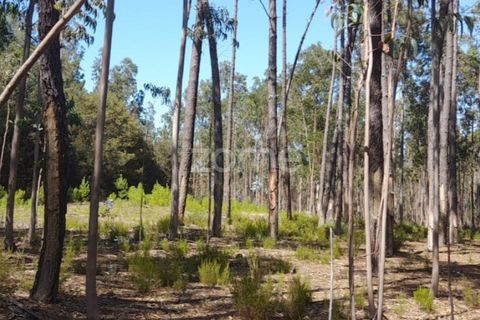 Terra em Maxial e Monte Redondo, Lisbon, Maxial e Monte Redondo - € 9.900 | Ref: ZMPT551124 - foto 5