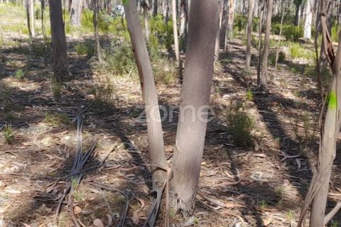 Terra em Maxial e Monte Redondo, Lisbon, Maxial e Monte Redondo - € 9.900 | Ref: ZMPT551124 - foto 6