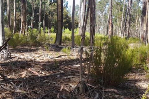 Terra em Maxial e Monte Redondo, Lisbon, Maxial e Monte Redondo - € 9.900 | Ref: ZMPT551124 - foto 7