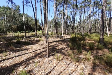 Terra em Maxial e Monte Redondo, Lisbon, Maxial e Monte Redondo - € 9.900 | Ref: ZMPT551124 - foto 8