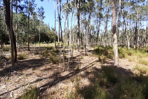 Terra em Maxial e Monte Redondo, Lisbon, Maxial e Monte Redondo - € 9.900 | Ref: ZMPT551124 - foto 9