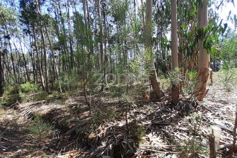 Terra em Maxial e Monte Redondo, Lisbon, Maxial e Monte Redondo - € 9.900 | Ref: ZMPT551124 - foto 12