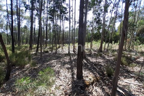 Terra em Maxial e Monte Redondo, Lisbon, Maxial e Monte Redondo - € 9.900 | Ref: ZMPT551124 - foto 16