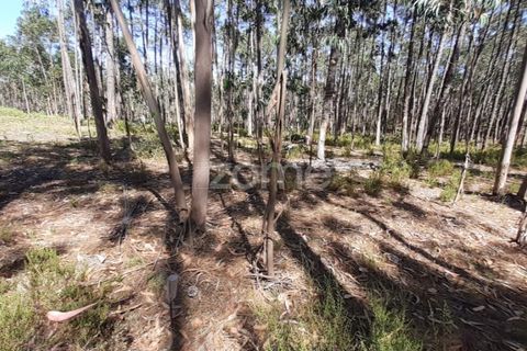 Terra em Maxial e Monte Redondo, Lisbon, Maxial e Monte Redondo - € 9.900 | Ref: ZMPT551124 - foto 17