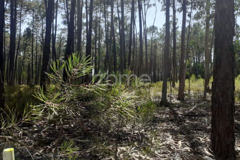 Terra em Maxial e Monte Redondo, Lisbon, Maxial e Monte Redondo - € 9.900 | Ref: ZMPT551124 - foto 19