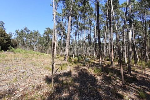 Terra em Maxial e Monte Redondo, Lisbon, Maxial e Monte Redondo - € 9.900 | Ref: ZMPT551124 - foto 23