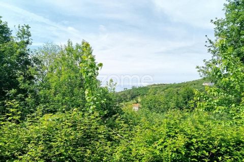 Helårsgrund i Seia, Guarda, Seia - € 50.000 | Ref: ZMPT577401 - foto 4