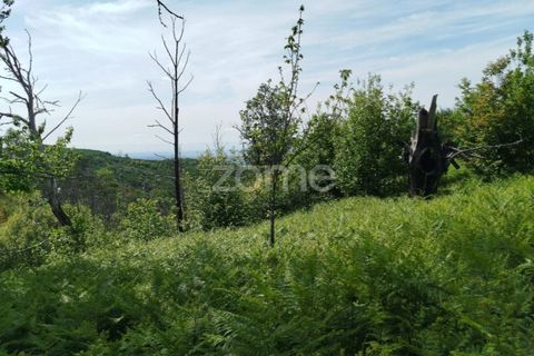 Helårsgrund i Seia, Guarda, Seia - € 50.000 | Ref: ZMPT577401 - foto 15