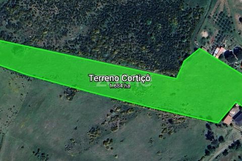 Terra a Cortico da Serra, Guarda, Cortico da Serra - € 17.460 | Ref: ZMPT574572 - foto 2