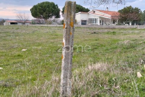Terra a Cortico da Serra, Guarda, Cortico da Serra - € 17.460 | Ref: ZMPT574572 - foto 3