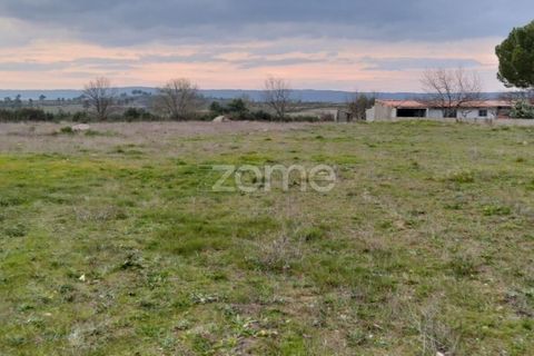 Terra a Cortico da Serra, Guarda, Cortico da Serra - € 17.460 | Ref: ZMPT574572 - foto 4