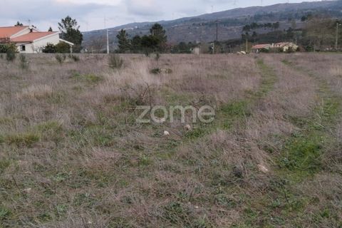 Terra a Cortico da Serra, Guarda, Cortico da Serra - € 17.460 | Ref: ZMPT574572 - foto 5