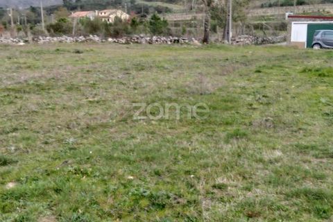 Terra a Cortico da Serra, Guarda, Cortico da Serra - € 17.460 | Ref: ZMPT574572 - foto 6
