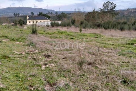 Terra a Cortico da Serra, Guarda, Cortico da Serra - € 17.460 | Ref: ZMPT574572 - foto 7