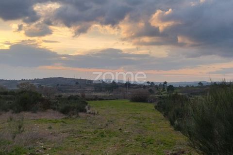 Terra a Cortico da Serra, Guarda, Cortico da Serra - € 17.460 | Ref: ZMPT574572 - foto 8