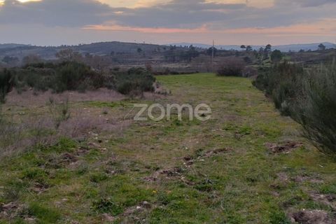 Terra a Cortico da Serra, Guarda, Cortico da Serra - € 17.460 | Ref: ZMPT574572 - foto 9