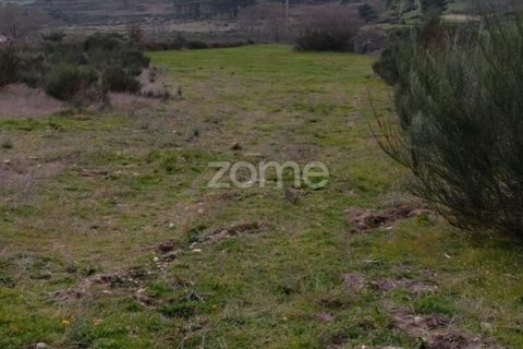 Terra a Cortico da Serra, Guarda, Cortico da Serra - € 17.460 | Ref: ZMPT574572 - foto 10