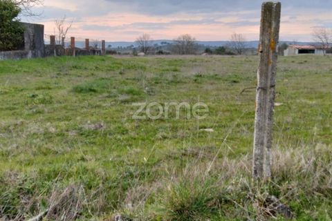 Terra a Cortico da Serra, Guarda, Cortico da Serra - € 17.460 | Ref: ZMPT574572 - foto 11
