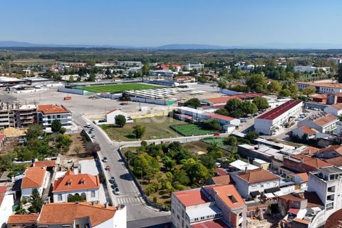 Lejlighed i Cantanhede, Coimbra, Cantanhede - € 198.000 | Ref: ZMPT580826 - foto 4