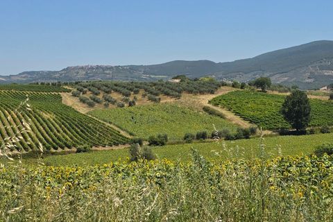 Haus in Baschi, Terni, Baschi - € 629.000 | Ref: BASCHI08-1 - Foto 14