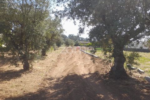 Helårsgrund i Pombal, Leiria, Pombal - € 89.900 | Ref: ZMPT557799 - foto 2