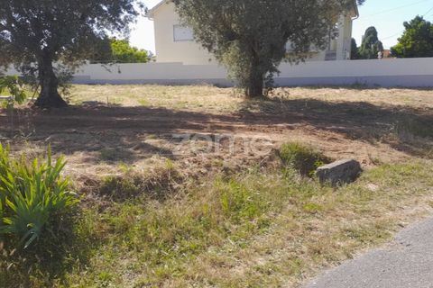 Helårsgrund i Pombal, Leiria, Pombal - € 89.900 | Ref: ZMPT557799 - foto 4