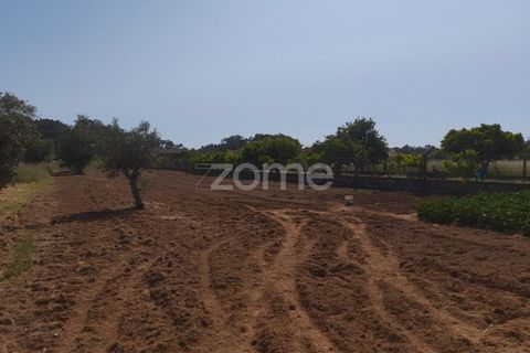 Helårsgrund i Pombal, Leiria, Pombal - € 89.900 | Ref: ZMPT557799 - foto 5
