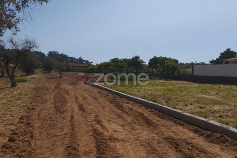 Helårsgrund i Pombal, Leiria, Pombal - € 89.900 | Ref: ZMPT557799 - foto 6
