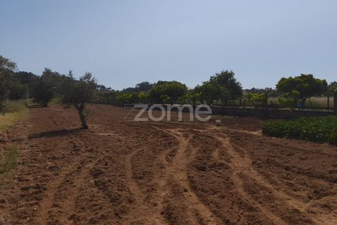 Helårsgrund i Pombal, Leiria, Pombal - € 89.900 | Ref: ZMPT557799 - foto 7
