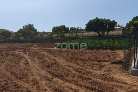 Helårsgrund i Pombal, Leiria, Pombal - € 89.900 | Ref: ZMPT557799 - foto 8