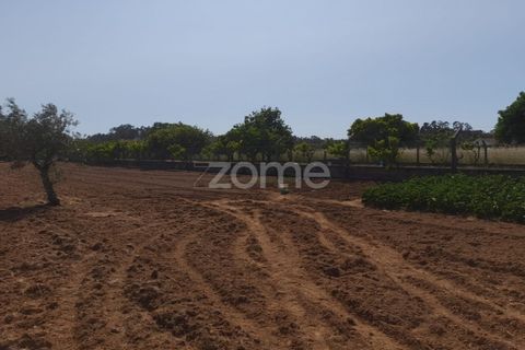 Helårsgrund i Pombal, Leiria, Pombal - € 89.900 | Ref: ZMPT557799 - foto 9
