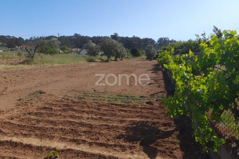 Helårsgrund i Pombal, Leiria, Pombal - € 89.900 | Ref: ZMPT557799 - foto 10