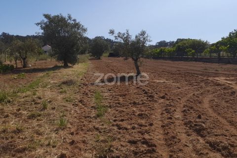 Helårsgrund i Pombal, Leiria, Pombal - € 89.900 | Ref: ZMPT557799 - foto 11