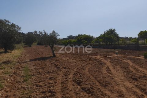 Helårsgrund i Pombal, Leiria, Pombal - € 89.900 | Ref: ZMPT557799 - foto 12