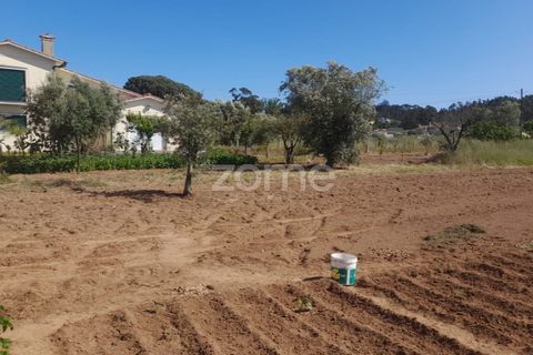 Helårsgrund i Pombal, Leiria, Pombal - € 89.900 | Ref: ZMPT557799 - foto 14