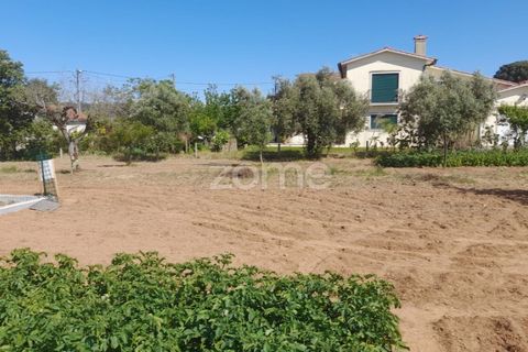 Helårsgrund i Pombal, Leiria, Pombal - € 89.900 | Ref: ZMPT557799 - foto 15