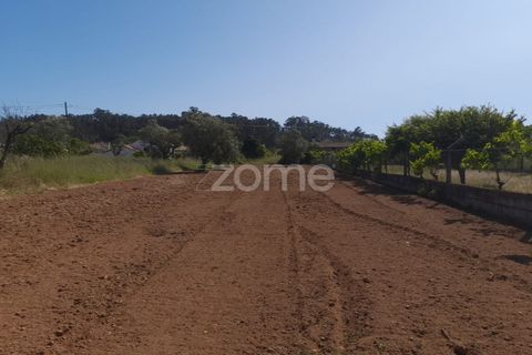 Helårsgrund i Pombal, Leiria, Pombal - € 89.900 | Ref: ZMPT557799 - foto 16