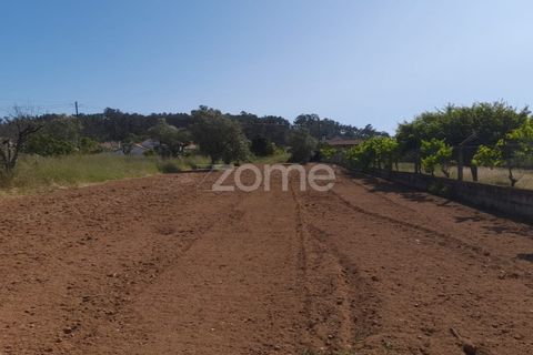 Helårsgrund i Pombal, Leiria, Pombal - € 89.900 | Ref: ZMPT557799 - foto 17