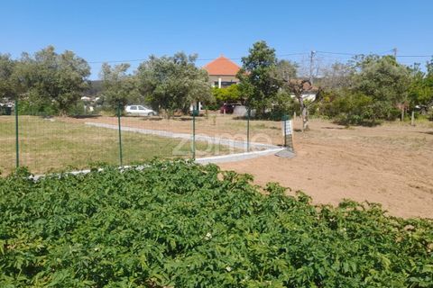 Helårsgrund i Pombal, Leiria, Pombal - € 89.900 | Ref: ZMPT557799 - foto 18