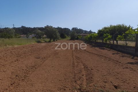 Helårsgrund i Pombal, Leiria, Pombal - € 89.900 | Ref: ZMPT557799 - foto 19