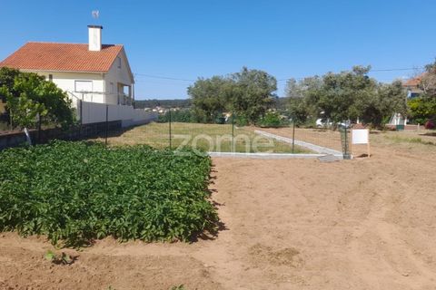 Helårsgrund i Pombal, Leiria, Pombal - € 89.900 | Ref: ZMPT557799 - foto 20