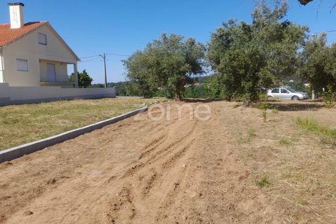 Helårsgrund i Pombal, Leiria, Pombal - € 89.900 | Ref: ZMPT557799 - foto 22