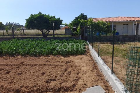 Helårsgrund i Pombal, Leiria, Pombal - € 89.900 | Ref: ZMPT557799 - foto 23