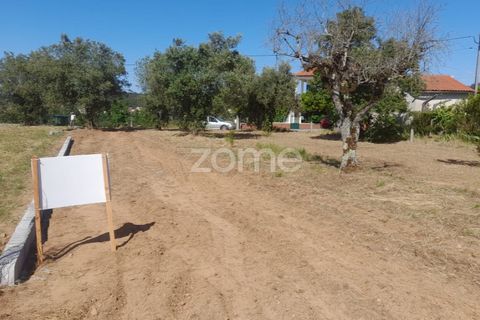 Helårsgrund i Pombal, Leiria, Pombal - € 89.900 | Ref: ZMPT557799 - foto 24