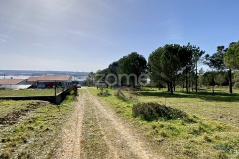 Tomt i Vila Verde, Coimbra, Vila Verde - € 425 000 | Ref: ZMPT555426 - foto 3