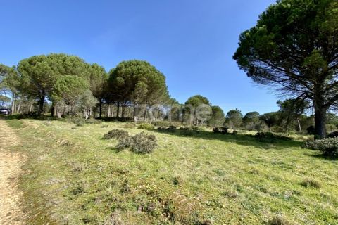 Tomt i Vila Verde, Coimbra, Vila Verde - € 425 000 | Ref: ZMPT555426 - foto 6