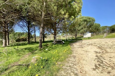 Tomt i Vila Verde, Coimbra, Vila Verde - € 425 000 | Ref: ZMPT555426 - foto 11