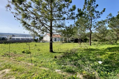 Tomt i Vila Verde, Coimbra, Vila Verde - € 425 000 | Ref: ZMPT555426 - foto 13